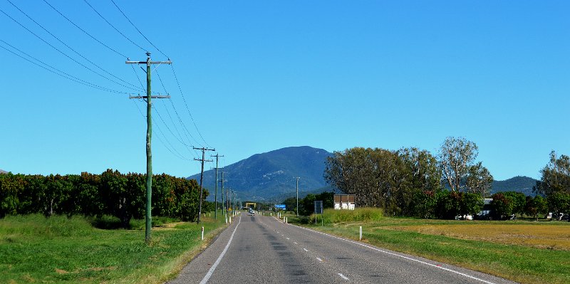 04Bowen (18).JPG - Heading north from Bowen through Mango plantations area to Homehill/Ayr